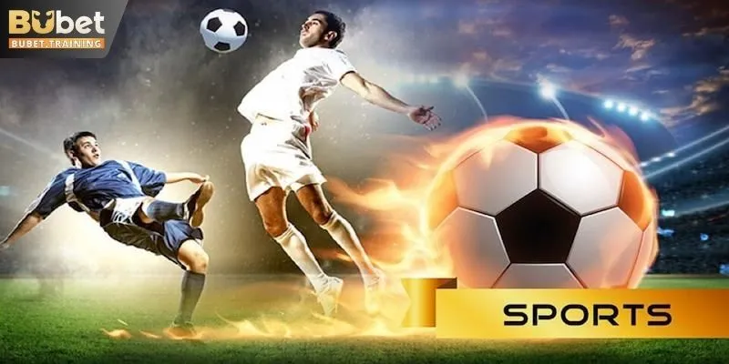 Giới thiệu sơ lược về thể thao BUBET