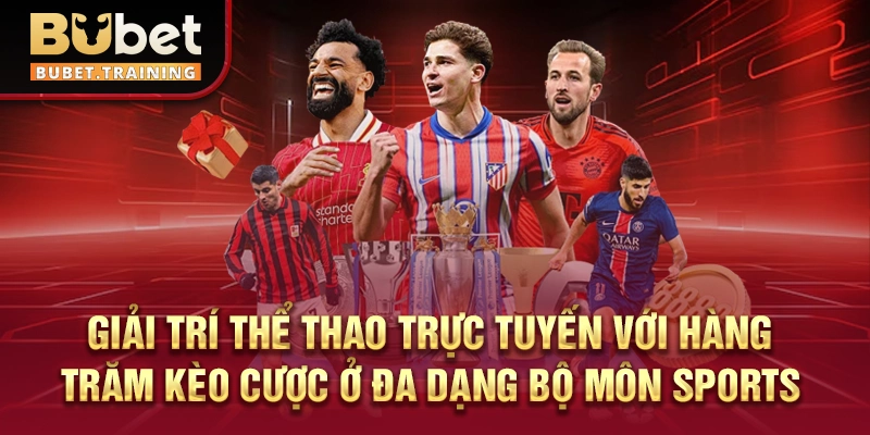 Giải trí thể thao trực tuyến với hàng trăm kèo cược ở đa dạng bộ môn sports